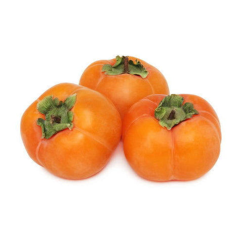 Persimmon kaki 24 es 1CH
