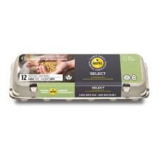 Nutri oeuf gros 12un