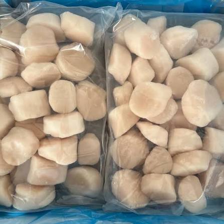 Petoncle 10/20 kg