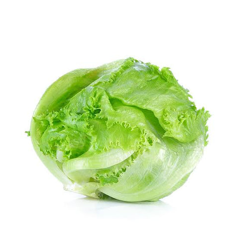 Laitue iceberg bio un