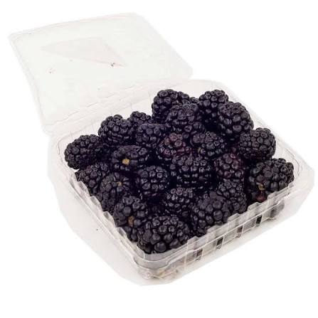 Mûres bio 170g