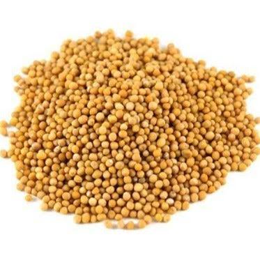 graines de moutarde entières kg