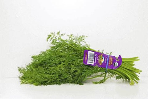 Aneth frais bio  ca 1ch