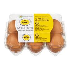 Nutri oeuf bio brun 6un