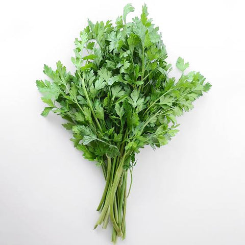 Tete de persil flat ital 1unit
