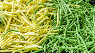 Panier haricots mixte