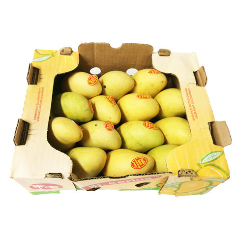 Mangue ataulfo boîte