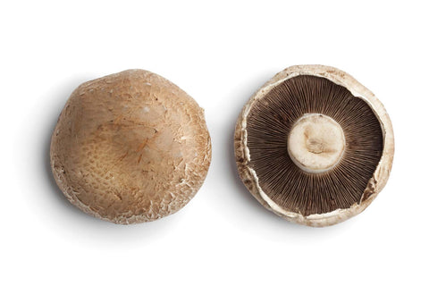 Champignon portobella kg