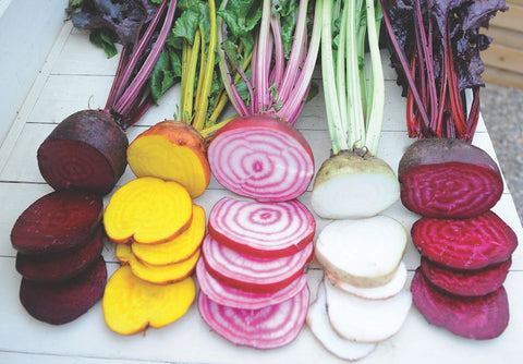 Beets coloured 1.5lt basket 1500ml