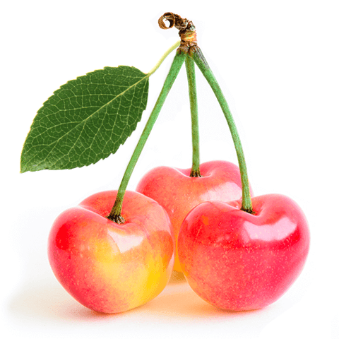 Cerises gourmets rainier 1vw