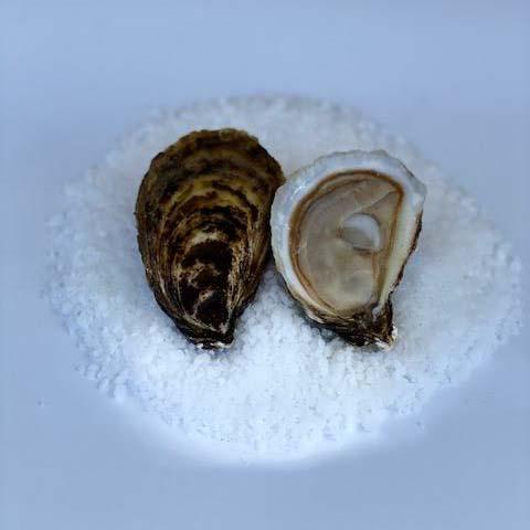 Huitre umami