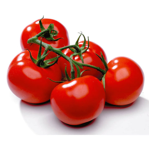 Tomate sûr vigne rouge 1vw